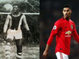 Robert Rashford