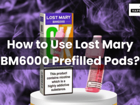 Lost Mary BM6000