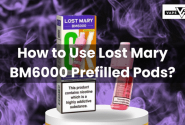 Lost Mary BM6000