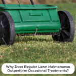Why Does Regular Lawn Maintenance Outperform Occasional Treatments?