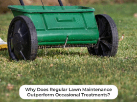Why Does Regular Lawn Maintenance Outperform Occasional Treatments?